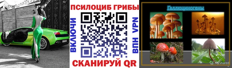 Псилоцибиновые грибы прущие грибы  Полысаево 